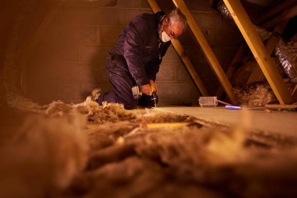 Best Professional Insulation Contractor  in East Stroudsburg, PA